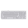 Cybeart Akula 99 - Compact Full Size Wireless RGB Mechanical Keyboard (White MKI Pre-Lubed Switches) – TechCure India