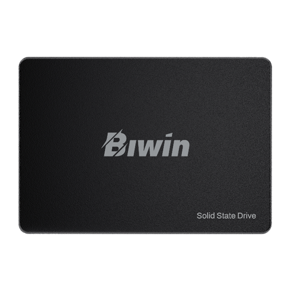 Biwin M100 128GB Sata SSD – TechCure India