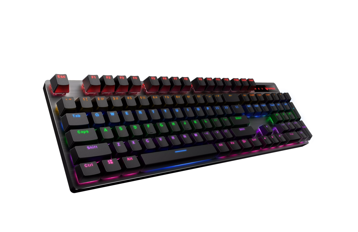 RAPOO V500PRO-87 TKL MECHANICAL GAMING KEYBOARD – TechCure India