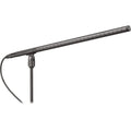 Audio Technica BP4071L Line and Gradient Condenser Microphone – TechCure India