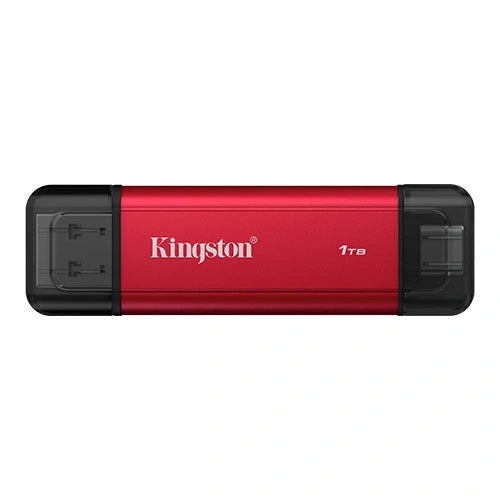 Kingston Dual USB Type A and Type C 1TB Portable SSD – TechCure India