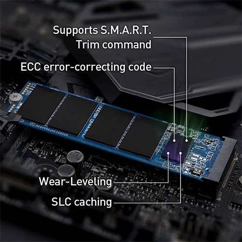 TEAMGROUP MP33 Pro 1TB M.2 NVME Gen3 Solid State Drive ( SSD ) - 2