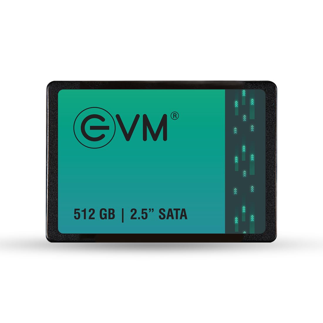 EVM 512GB INTERNAL SATA SSD EVM25/512GB – TechCure India