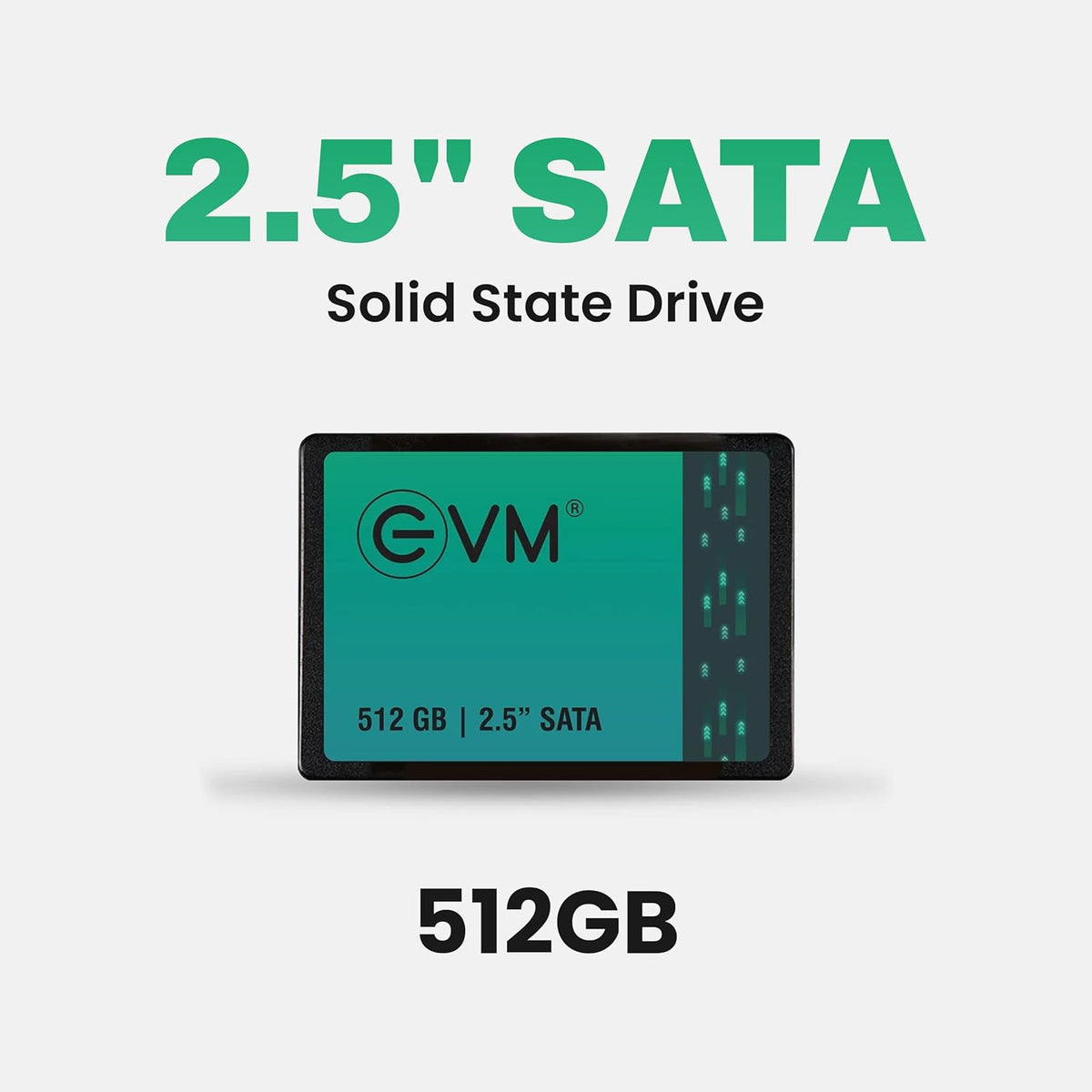 EVM 512GB INTERNAL SATA SSD EVM25/512GB – TechCure India