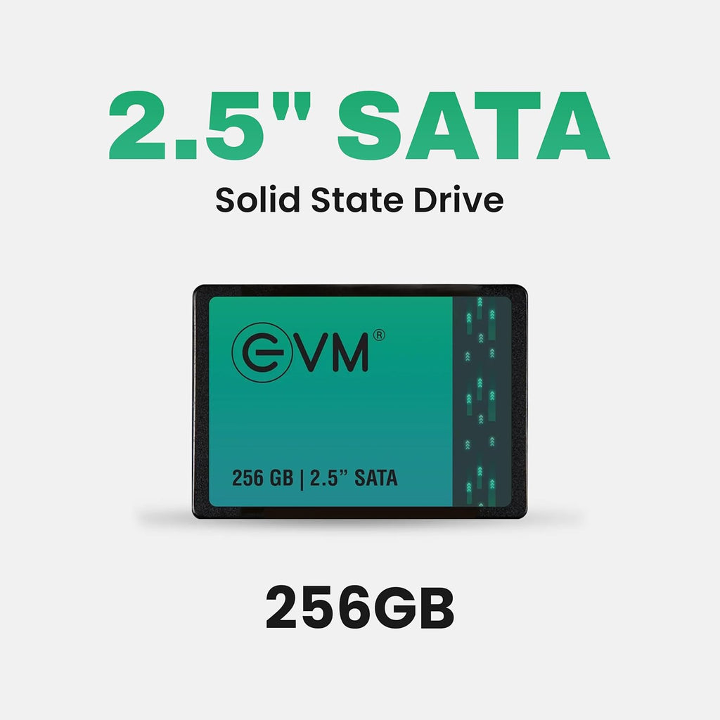 EVM 256GB INTERNAL SATA SSD EVM25/256GB – TechCure India
