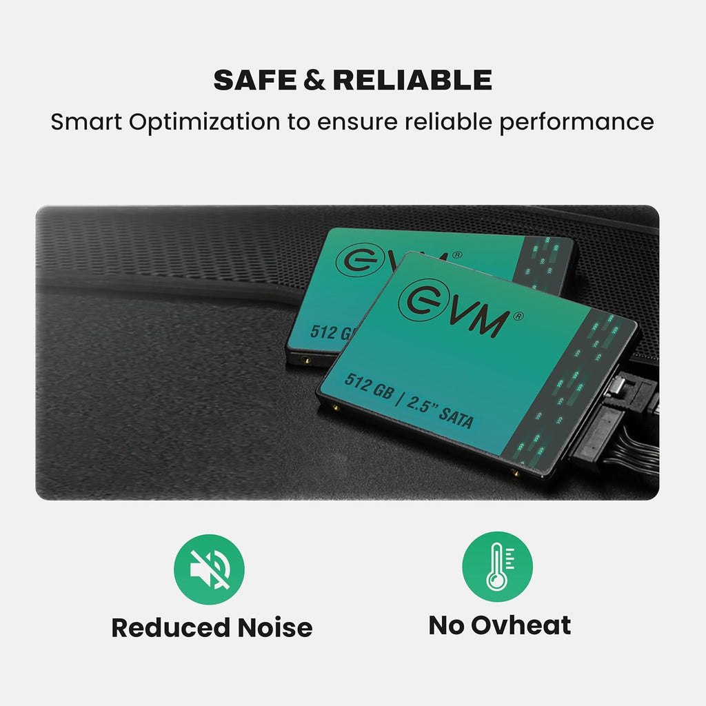 EVM 512GB INTERNAL SATA SSD EVM25/512GB – TechCure India