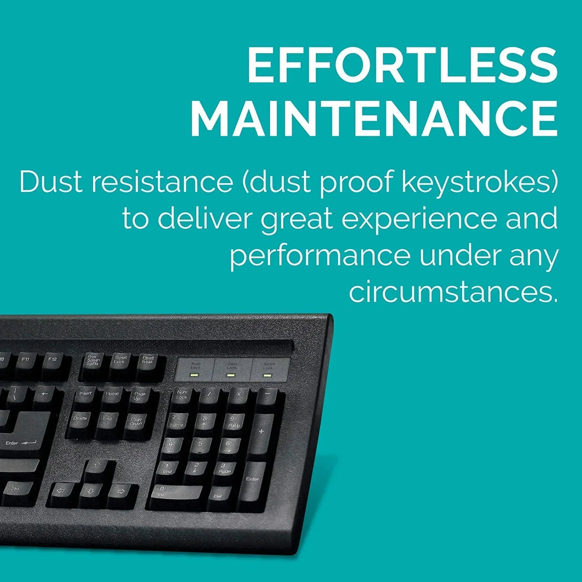 TVSE GOLD USB KEYBOARD BLACK – TechCure India