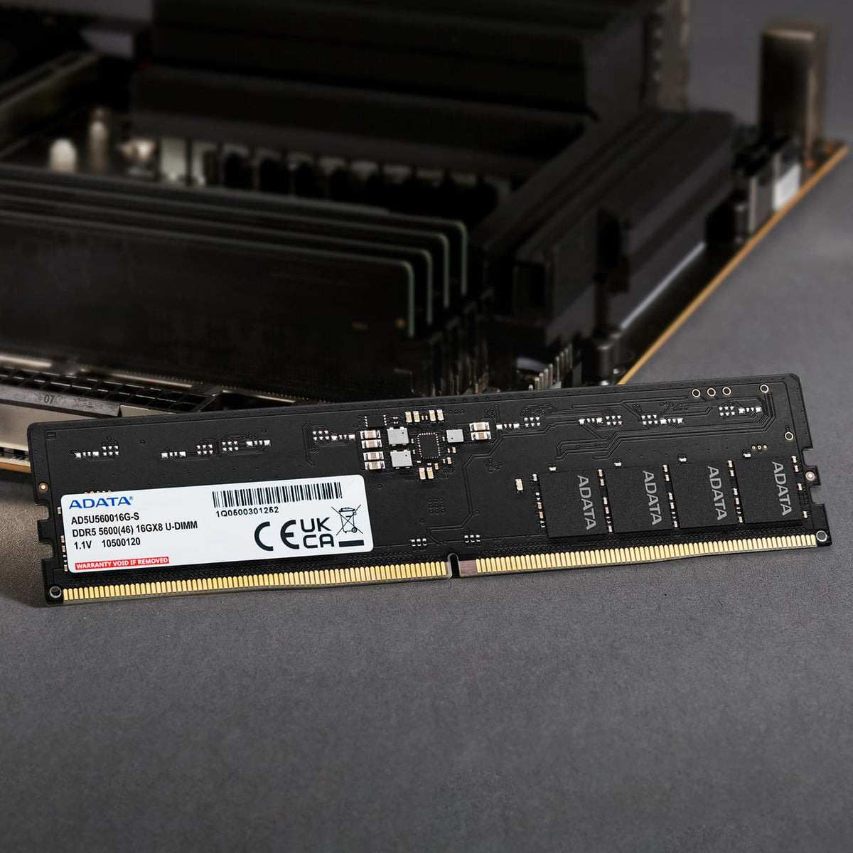 ADATA 16GB 5600MHZ U-DIMM DDR5 DESKTOP RAM - AD5U560016G-S – TechCure India