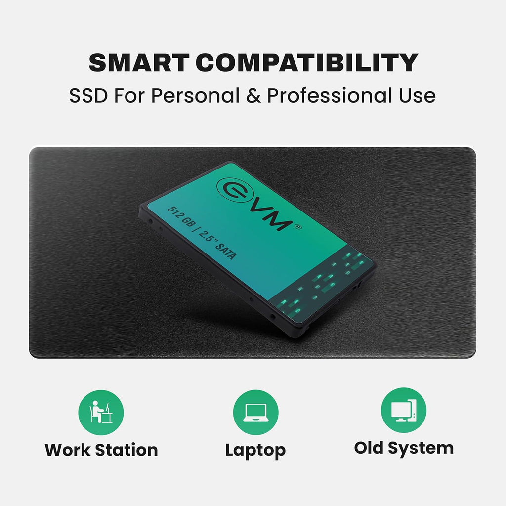 EVM 512GB INTERNAL SATA SSD EVM25/512GB – TechCure India