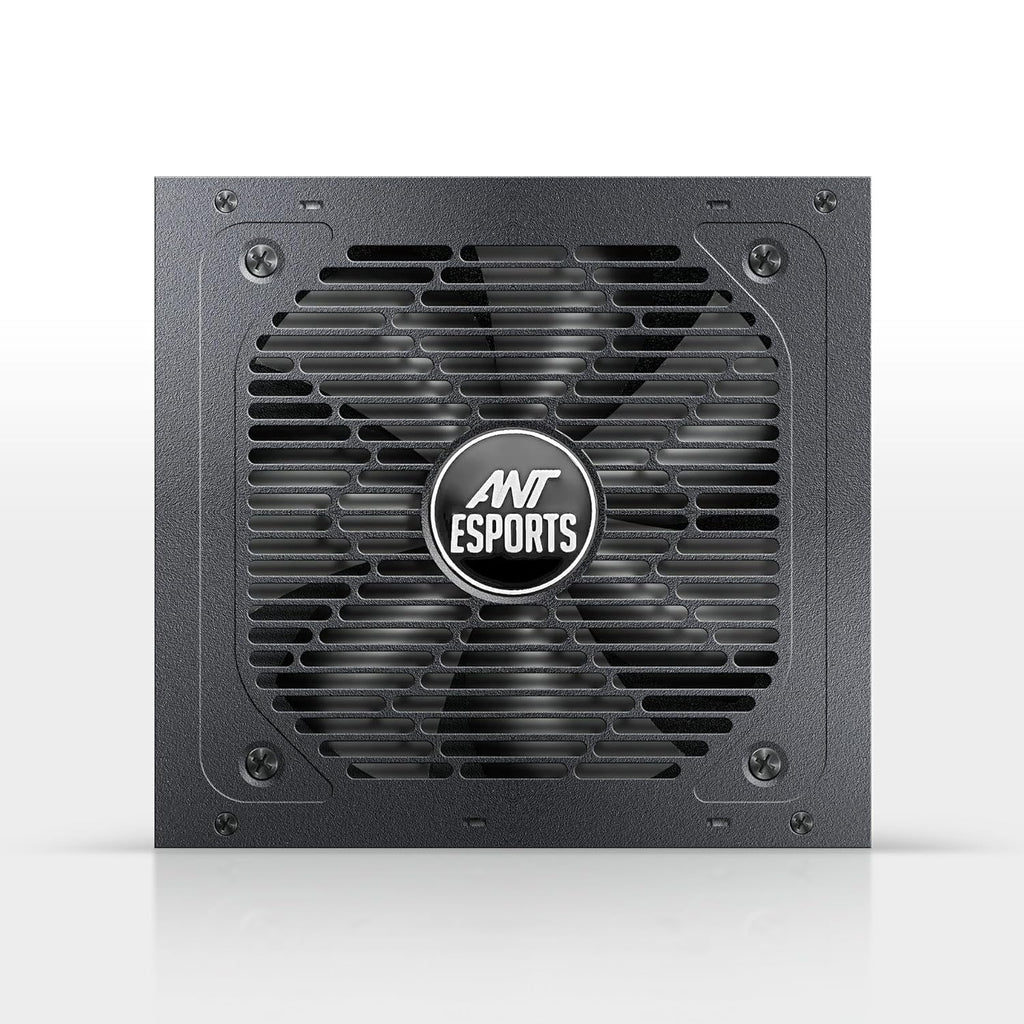 ANT ESPORTS FG650 V2 Gold 650 Watt Fully Modular SMPS with Braided Nylon cables – TechCure India