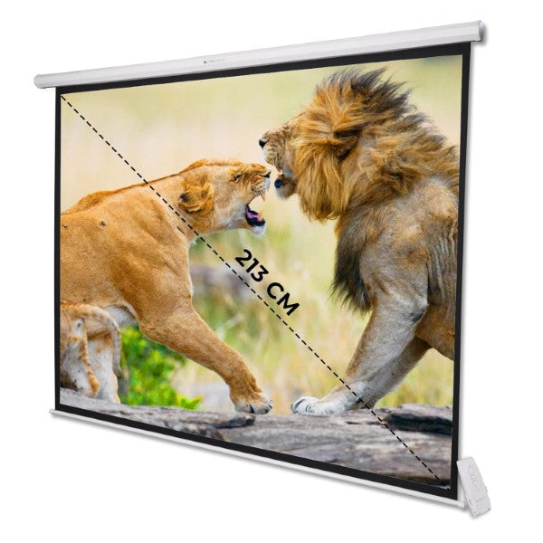 Zebronics PSM84A 84" Motorised Projector Screen – TechCure India
