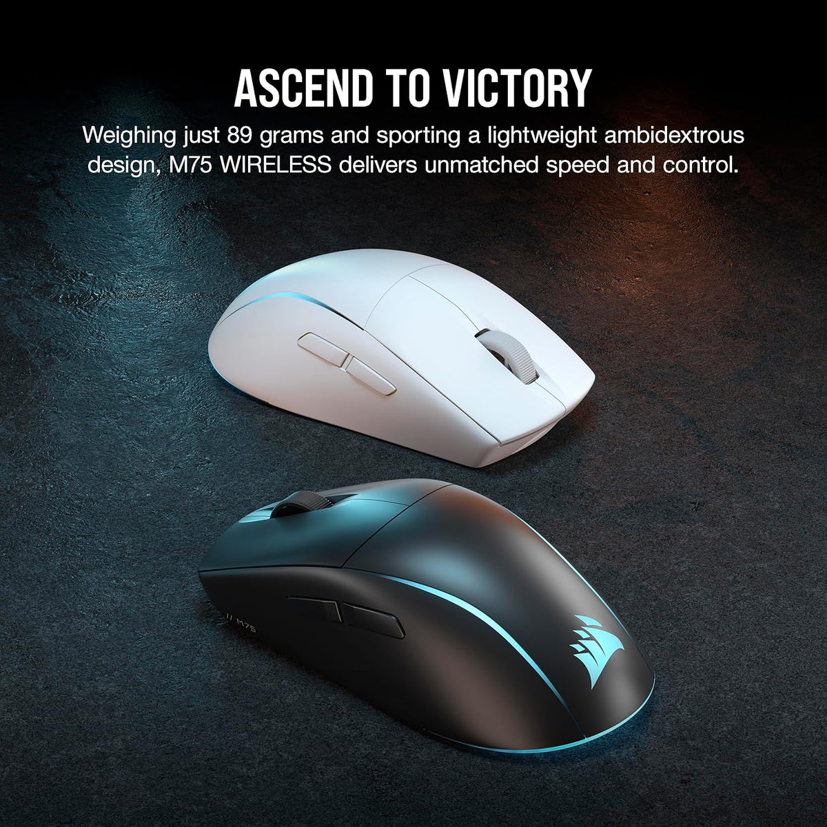 CORSAIR M75 WIRELESS LIGHTWEIGHT RGB GAMING MOUSE BLACK CH-930D010-AP – TechCure India