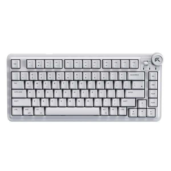 Cybeart Nighthawk 75 - TKL Wireless RGB Mechanical Keyboard (White) – TechCure India