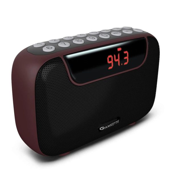 Amkette Pocket Blast Bluetooth Speaker with FM Radio (Brown) – TechCure India
