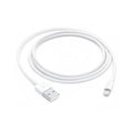 Apple Lightning to USB Cable (1m) – TechCure India