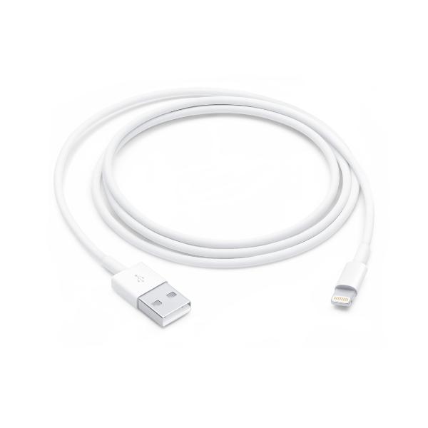 Apple Lightning to USB Cable (1m) – TechCure India