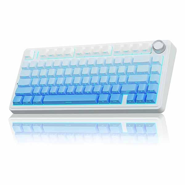Aula F75 75% Gasket Wireless Mechanical Keyboard – TechCure India