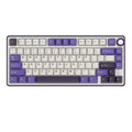ROYAL KLUDGE RK R75 75% RGB Mechanical Wired Gaming Keyboard ( Blackberry Mousse ) ( Silver Switch )