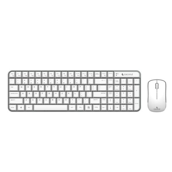 Coconut Desire 2.0 Wireless Compact Combo (White Grey) – TechCure India