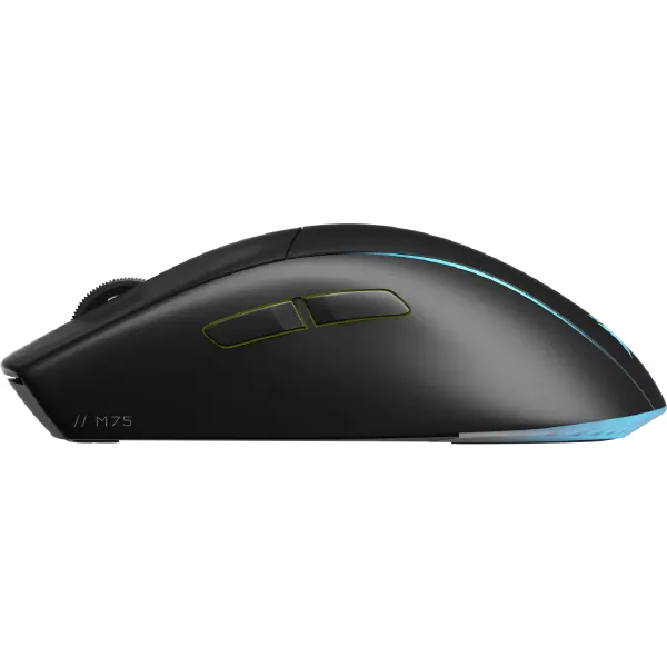 Corsair M75 WIRELESS Lightweight RGB Gaming Mouse, Black (CN) – TechCure India