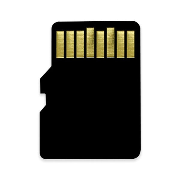 EVM 16GB Micro SD Card Class 10 (Memory Card) – TechCure India