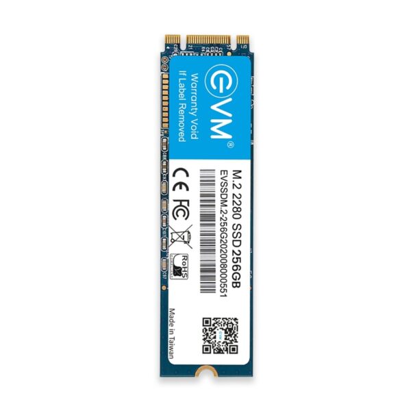EVM 256gb m.2 (2280) SSD – TechCure India