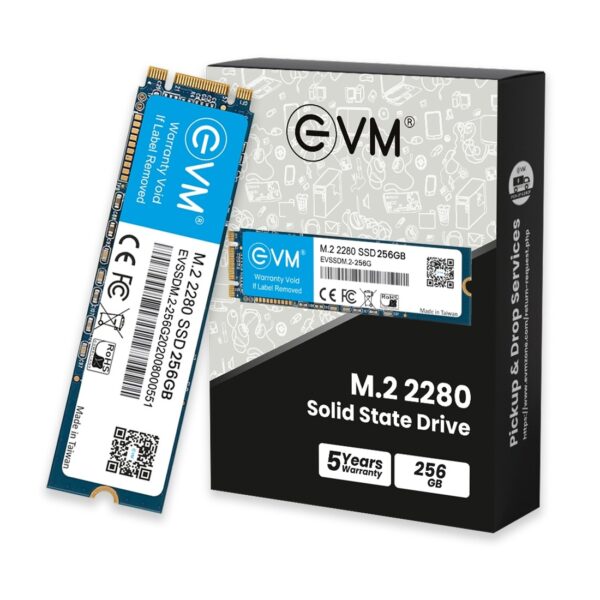EVM 256gb m.2 (2280) SSD – TechCure India