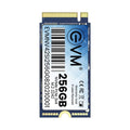 Evm 256gb M.2 Nvme 2242 Ssd – TechCure India