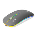 EVM EnGrip Wireless Mouse – TechCure India