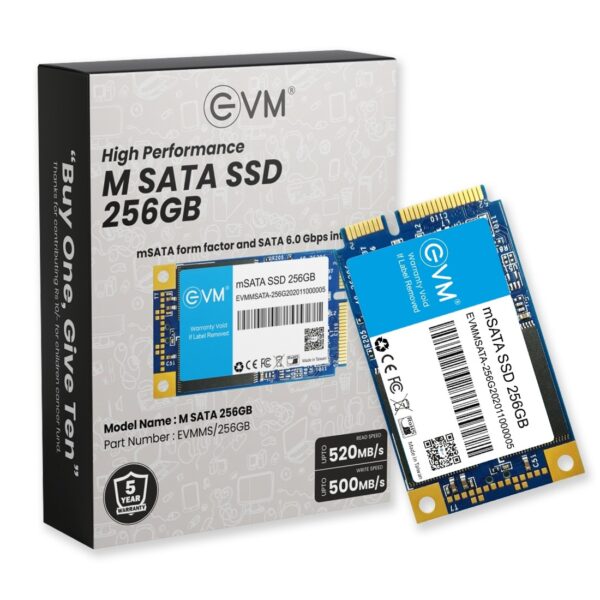Evm M Sata 256gb Ssd – TechCure India