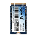 Evm 256gb M.2 2242 Ssd – TechCure India