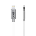 EVM Port to 3.5mm Jack Compatible AUX Adapter Cable – TechCure India