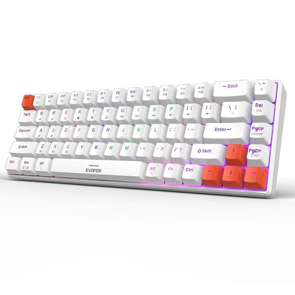 EvoFox Katana S Mini Wireless Mechanical Keyboard Red Switch - (White) – TechCure India