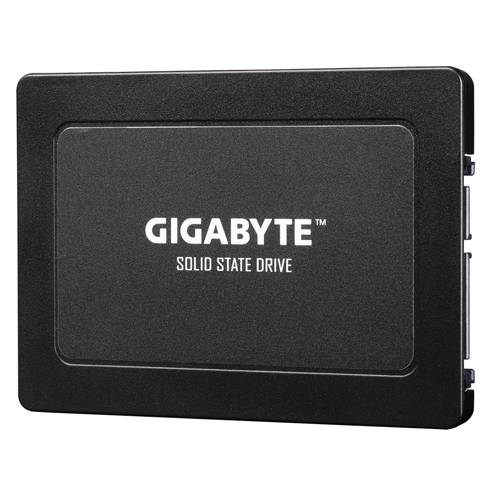 Gigabyte 240GB SATA Internal Solid State Drive GP-GSTFS31240GNTD – TechCure India
