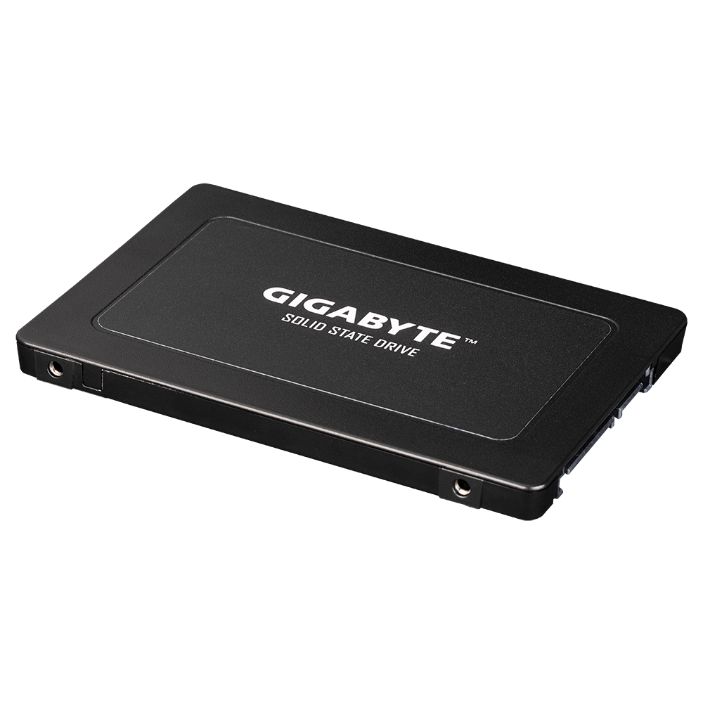 Gigabyte 240GB SATA Internal Solid State Drive GP-GSTFS31240GNTD – TechCure India