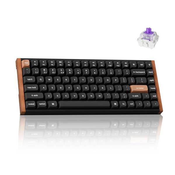 Keychron K2 HE Rapid Trigger Wireless Custom Special Edition Mechanical Keyboard (Black) – TechCure India