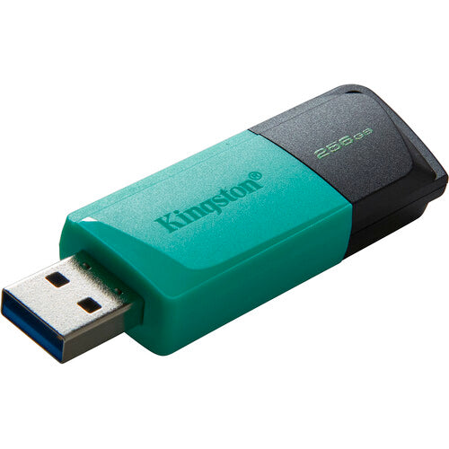 Kingston 256GB DataTraveler Exodia M USB Flash Drive (Teal) – TechCure India