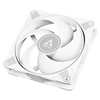 ARCTIC P12 Max 120mm Cabinet Fan ( White )