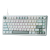 ROYAL KLUDGE R75 75% Wired Mechanical Gaming Keyboard ( Skycyan ) ( Blue Switch )