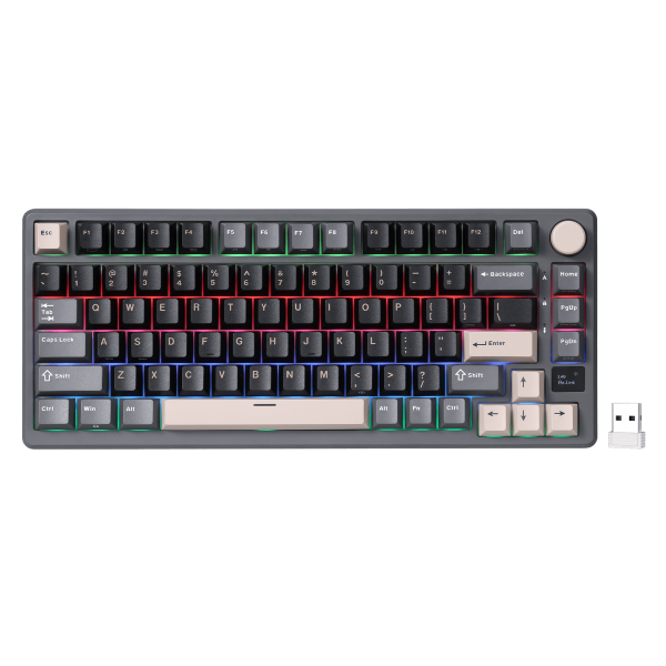 RK ROYAL KLUDGE M75 Phantom Mechanical Keyboard Blue Switch – TechCure India