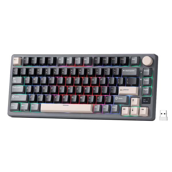RK ROYAL KLUDGE M75 Phantom Mechanical Keyboard Blue Switch – TechCure India