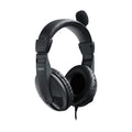 Rapoo H150 Stereo Wired Over Ear Headphones with Microphone – TechCure India