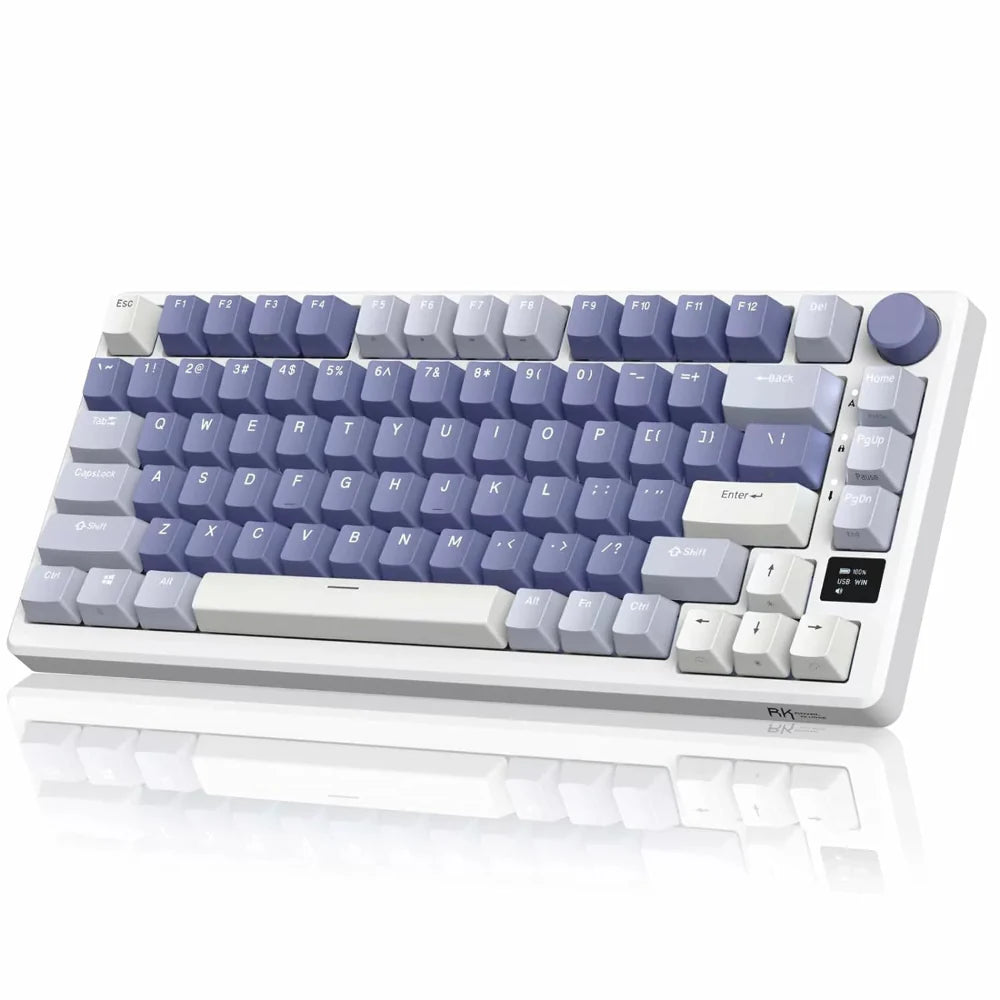ROYAL KLUDGE RK M75 75% RGB Mechanical Wireless Gaming Keyboard ( Blue ) ( Clicky Blue Switch )