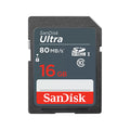 SanDisk Ultra Class 10 80MB/s 16GB SDHC Card and SDXC Card – TechCure India