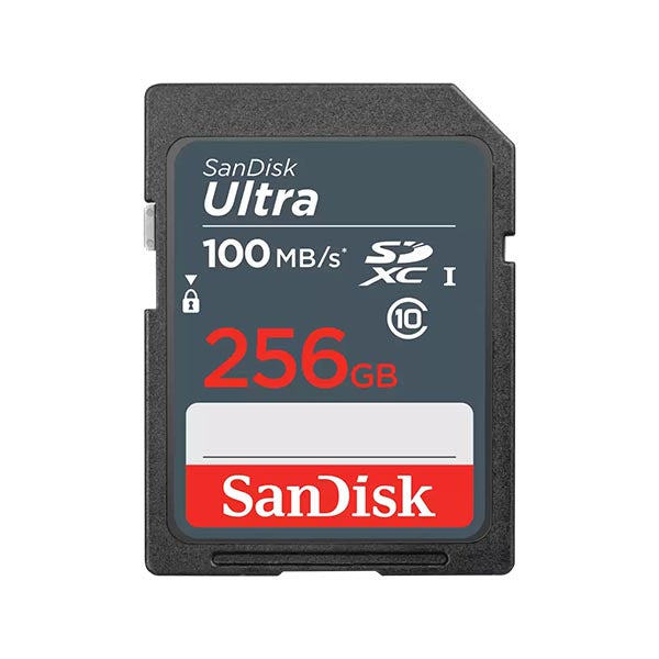 SanDisk Ultra Class 10 100MB/s 256GB SDHC Card and SDXC Card – TechCure India