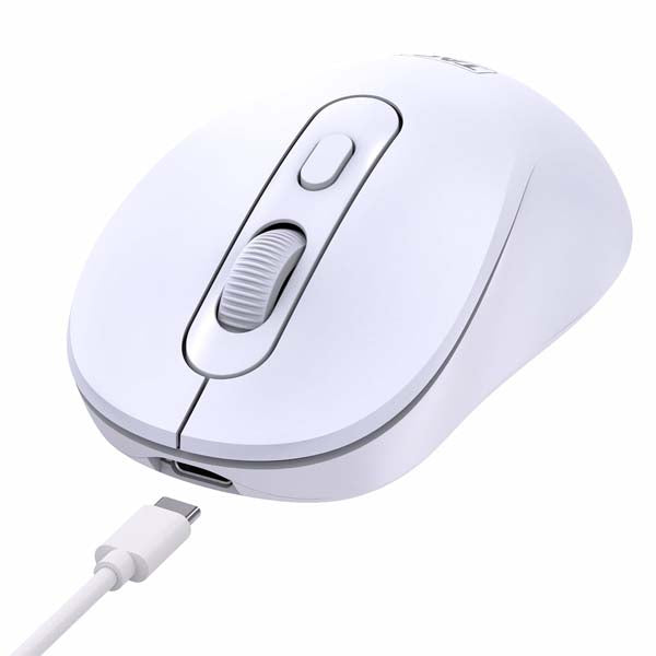 TAG WM900 Dual Mode Wireless Mouse (White) – TechCure India