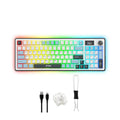 Ant Esports Apex 300 Tri-mode Gasket Mount Mechanical Keyboard (APEX-300) – TechCure India