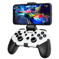 Ant Esports GP320 Wireless Game Controller – TechCure India