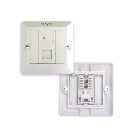 Cadyce CA-FCP1 Single Port Cat 6 Faceplate With UTP Module – TechCure India