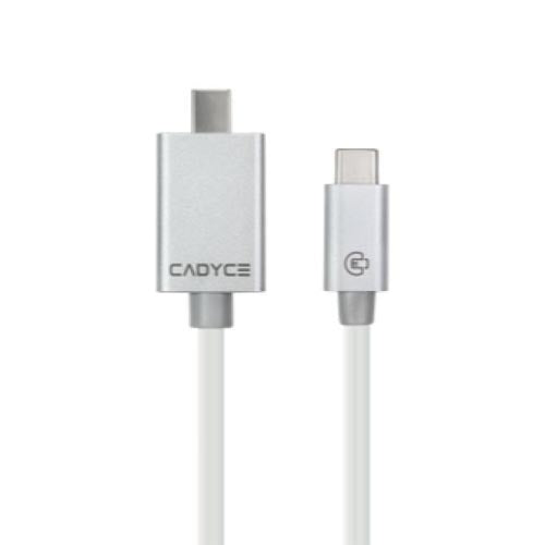 Cadyce USB-C to Mini DisplayPort Cable (1.8m) – TechCure India